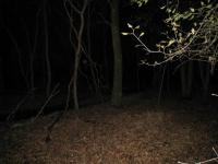 Chicago Ghost Hunters Group investigates Robinson Woods (239).JPG